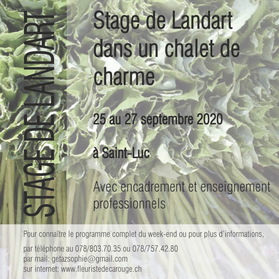 Stage de Landart à Saint-Luc