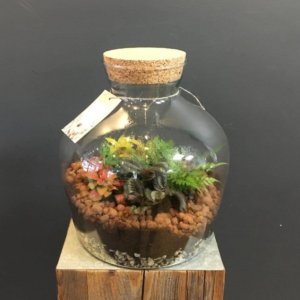 terrarium boule led